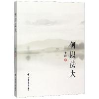 正版新书]何以法大黄进9787562088592
