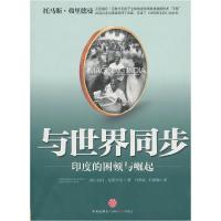 正版新书]与世界同步[印]南丹·尼勒卡尼9787508625041