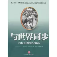 正版新书]与世界同步[印]南丹·尼勒卡尼9787508625041