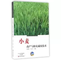 正版新书]小麦高产与防灾减灾技术/农作物高产与防灾减灾技术系