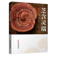正版新书]芝含灵瑞:灵芝何清湖9787515220420