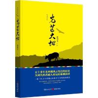正版新书]光芒大地张祖文9787229093099