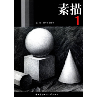 正版新书]素描:1唐开军 胡西非9787304033699