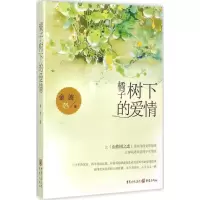 正版新书]橘子树下的爱情金波9787229099626