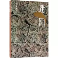 正版新书]迷阳王宏图 著9787530217801