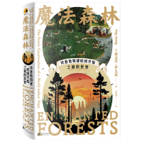 正版新书]魔法森林:诗意地构建时间开始之前的世界(美)博里亚·