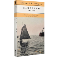 正版新书]天上掉下个大草帽:一部日本小说(美)理查德·布劳提根|