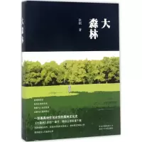 正版新书]大森林徐刚9787530216552