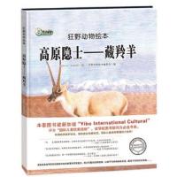 正版新书]狂野动物绘本:高原隐士-藏羚羊(精装绘本)狂野动物绘本