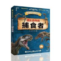 正版新书]团队协作的捕食者江泓,郑拓编著9787557879143