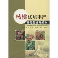 正版新书]核桃优质丰产高效栽培与间作高山9787567797642