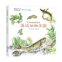 正版新书]身边生动的自然课-溪边动物王国高颖9787557852559