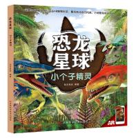 正版新书]小个子精灵明洋卓安著;明洋卓安9787557877088