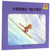 正版新书]小猫玻璃丝?小猫玻璃丝飞越大雪谷(奥)埃尔文?莫泽尔9