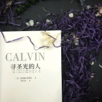 正版新书]寻圣光的人(美)玛蒂娜·莱维特 著 周天亮 译9787513921