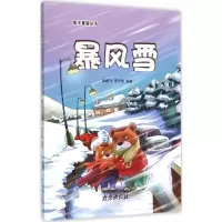 正版新书]暴风雪赵鹏飞9787553311128