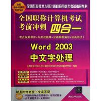 正版新书]全国职称计算机考试考前冲刺四合一:考点视频串讲+专