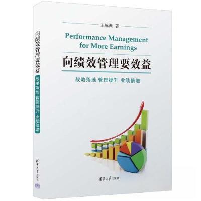 正版新书]向绩效管理要效益——战略落地 管理提升 业绩倍增王栋