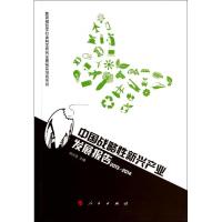 正版新书]中国战略性新兴产业发展报告2013-2014肖兴志 主编978