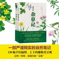 正版新书]杂草记柳宗民9787541145711