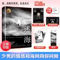 正版新书]迷海李吉军著9787201173429