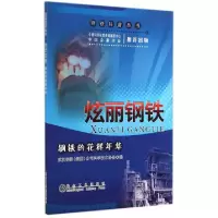 正版新书]炫丽钢铁(钢铁的花样年华)/钢铁科普丛书马贵生//丰恒