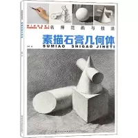 正版新书]名师范画与技法:素描石膏几何体张勇 著9787518072095