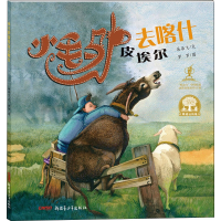 正版新书]小毛驴皮埃尔去喀什朵朵飞,罗罗9787559011220