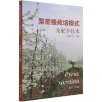 正版新书]梨密植栽培模式及配套技术刘振廷9787521913095