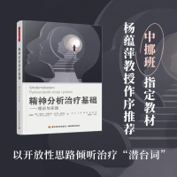 正版新书]精神分析治疗基础——理论与实践(挪威)西丽·埃丽卡·居