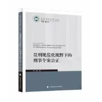正版新书]量刑规范化视野下的刑事个案公正倪震9787576410822