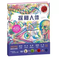 正版新书]探秘人体凯特·戴维斯9787508685328