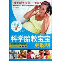 正版新书]图解科学胎教宝宝更聪明青铜9787515203782