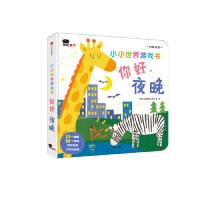 正版新书]小小世界游戏书 你好,夜晚 中英双语北京小红花图书工