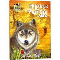 正版新书]袁博动物小说新经典?呼伦贝尔草原的狼袁博97875585187