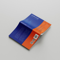 正版新书]网络刑法原理江溯9787301329764