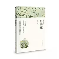 正版新书]野菊花黄金日9787531761778