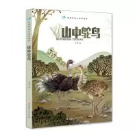 正版新书]袁博动物小说新视野披毛犀英雄袁博9787558536717