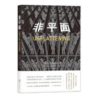 正版新书]非平面[美] 尼克·索萨尼斯9787559619433
