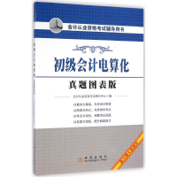 正版新书]会计从业资格考试辅导用书?初级会计电算化(真题图表