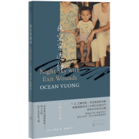 正版新书]夜空穿透伤 王鸥行诗集(美)王鸥行 著 何颖怡 译978755