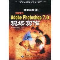 正版新书]精彩特效设计——AdobePhotoshop7.0现场实作(中文版)