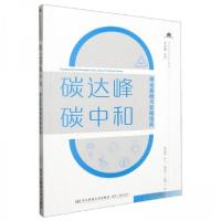 正版新书]碳达峰碳中和理论基础与实施指南方洁 主编;陈远新