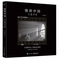 正版新书]慢游中国:只道寻常王身敦 著9787121440366