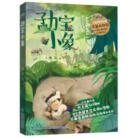 正版新书]勐宝小象湘女9787539577517