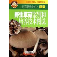 正版新书]野生草菇鉴别和培养技术图说刘月廉9787535958761