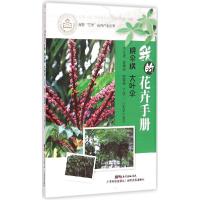 正版新书]幌伞枫 大叶伞王文通9787535959836