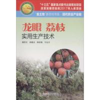 正版新书]龙眼荔枝实用生产技术潘学文9787535969651