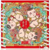 正版新书]寻年豫游纪9787535078704