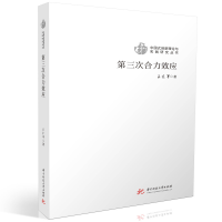 正版新书]第三次合力效应王宗军9787568090261